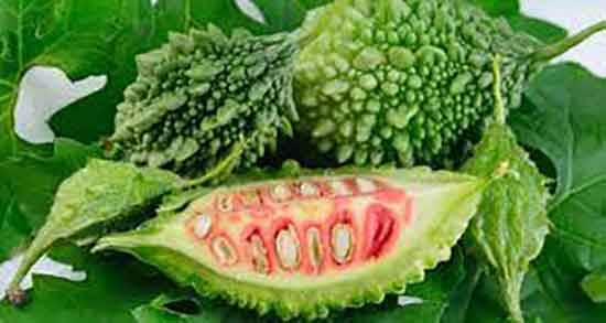 مضرات خربزه تلخ ؛ ایا مصرف خربزه تلخ برای دیابت زنان باردار مضره