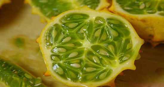 مضرات خربزه شاخدار ؛ عوارض مصرف خربزه شاخدار برای زنان باردار