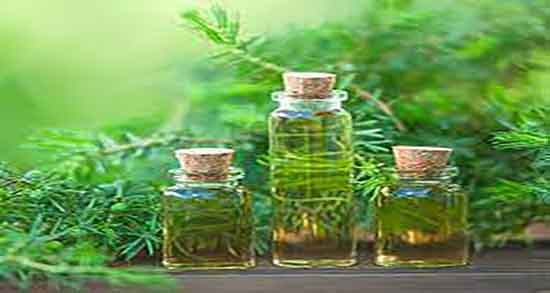 مضرات روغن درخت چای و عوارض مصرف روغن درخت چای برای زنان باردار مضرات روغن درخت چای ؛ عوارض مصرف روغن درخت چای برای زنان باردار