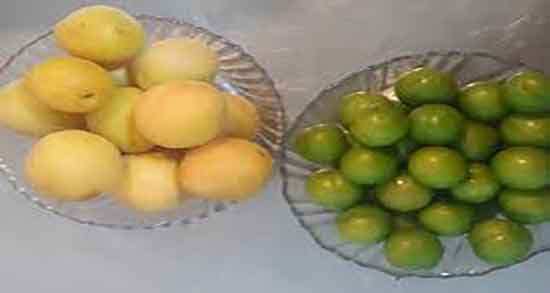 مضرات زردآلو در بارداری ؛ عوارض مصرف هسته زردآلو در دوران بارداری