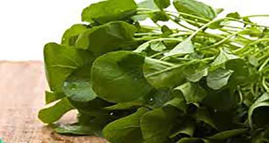 مضرات سبزی شاهی برای مردان ؛ عوارض شاهی برای اسپرم اقایان مضرات سبزی شاهی برای مردان ؛ عوارض شاهی برای اسپرم اقایان