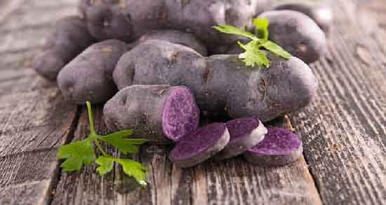 مضرات سیب زمینی بنفش و همه چیز درباره عوارض و مضرات مصرف سیب زمینی بنفش مضرات سیب زمینی بنفش ؛ همه چیز درباره عوارض و مضرات مصرف سیب زمینی بنفش