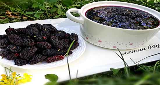 مضرات شاه توت سیاه ؛ عوارض مصرف شاه توت سیاه برای زخم معده مضرات شاه توت سیاه ؛ عوارض مصرف شاه توت سیاه برای زخم معده