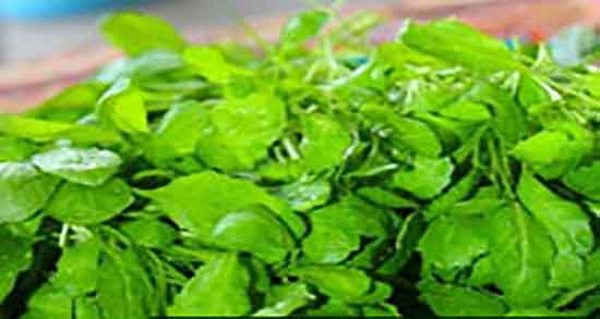 مضرات شاهی آبی ؛ عوارض مصرف شاهی ابی برای درمان بی خوابی مضرات شاهی آبی ؛ عوارض مصرف شاهی ابی برای درمان بی خوابی