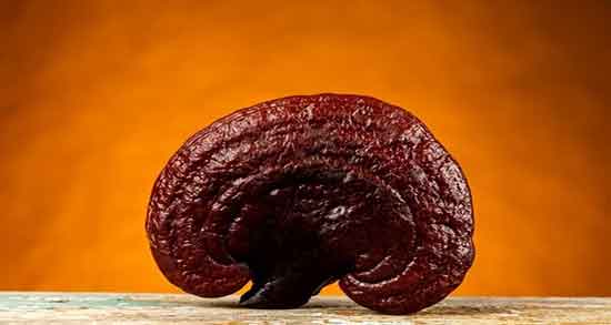 مضرات قارچ گانودرما در طب سنتی ؛ نظر پزشکان در مورد قارچ گانودرما مضرات قارچ گانودرما در طب سنتی ؛ نظر پزشکان در مورد قارچ گانودرما