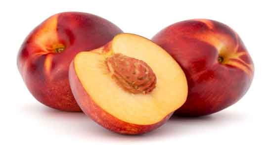 مضرات هسته شلیل ؛ همه چیز درباره هسته شلیل و مضراتی که دارد مضرات هسته شلیل ؛ همه چیز درباره هسته شلیل و مضراتی که دارد