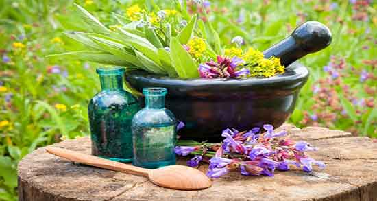 مضرات کاسنی برای نوزاد و عوارض مصرف عرق کاسنی برای معده نوزادان مضرات کاسنی برای نوزاد ؛ عوارض مصرف عرق کاسنی برای معده نوزادان