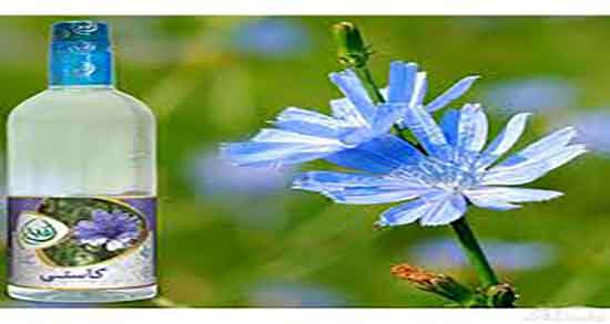 مضرات کاسنی برای کلیه ؛ عوارض مصرف کاسنی برای دفع سنگ کلیه