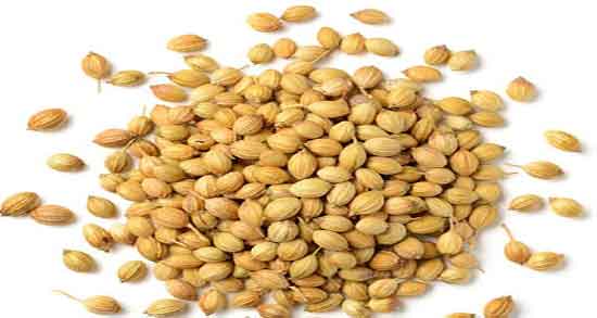 مضرات گشنیز برای مردان ؛ عوارض مصرف گشنیز برای اسپرم اقایان مضرات گشنیز برای مردان ؛ عوارض مصرف گشنیز برای اسپرم اقایان