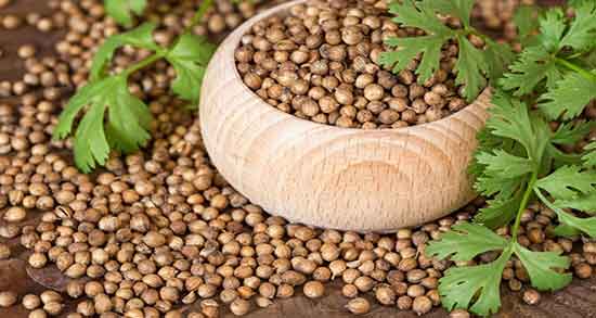 مضرات گشنیز برای نوزادان ؛ عوارض مصرف گشنیز برای رشد اطفال مضرات گشنیز برای نوزادان ؛ عوارض مصرف گشنیز برای رشد اطفال