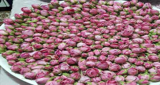 مضرات گل محمدی برای پوست و استفاده از گل محمدی برای چه نوع پوستی مضر است؟ مضرات گل محمدی برای پوست ؛ استفاده از گل محمدی برای چه نوع پوستی مضر است؟