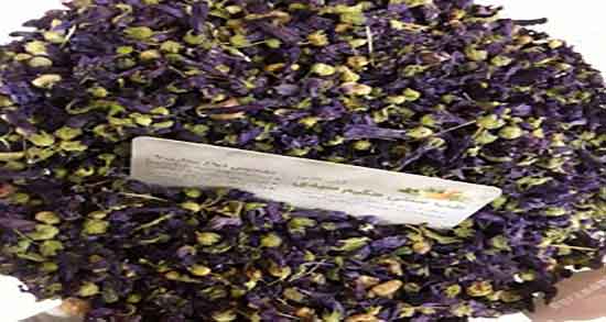 مضرات گیاه پنیرک و عوارض مصرف گیاه پنیرک برای قاعدگی زنان مضرات گیاه پنیرک ؛ عوارض مصرف گیاه پنیرک برای قاعدگی زنان