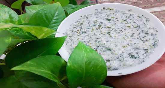 موسیر و خواص آن ؛ خواص موسیر و مضرات آن برای دستگاه گوارش