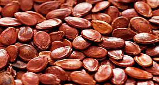 میزان چربی تخمه ژاپنی ؛ مقدار چربی تخمه ژاپنی برای بدن چقدره میزان چربی تخمه ژاپنی ؛ مقدار چربی تخمه ژاپنی برای بدن چقدره