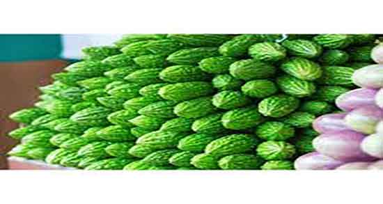 نام علمی خربزه تلخ ؛ ایا نام علمی خربزه تلخ همان میوه کارلا است نام علمی خربزه تلخ ؛ ایا نام علمی خربزه تلخ همان میوه کارلا است