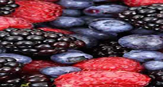 نحوه مصرف بلوبری ؛ دستور مصرف دمنوش بلوبری برای زنان باردار نحوه مصرف بلوبری ؛ دستور مصرف دمنوش بلوبری برای زنان باردار