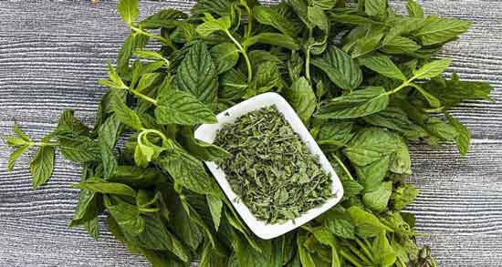 نعناع فلفلی برای سرماخوردگی ؛ کاهش علائم سرماخوردگی با مصرف نعناع فلفلی