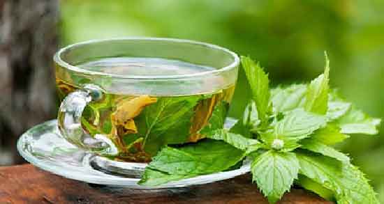 نعناع فلفلی و چای سبز ؛ بررسی خاصیت درمانی نعناع فلفلی و چای سبز