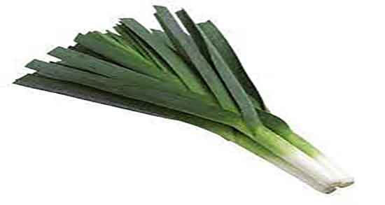 نگهداری تره فرنگی در فریزر ؛ طریقه نگهداری تره فرنگی چگونه است نگهداری تره فرنگی در فریزر ؛ طریقه نگهداری تره فرنگی چگونه است