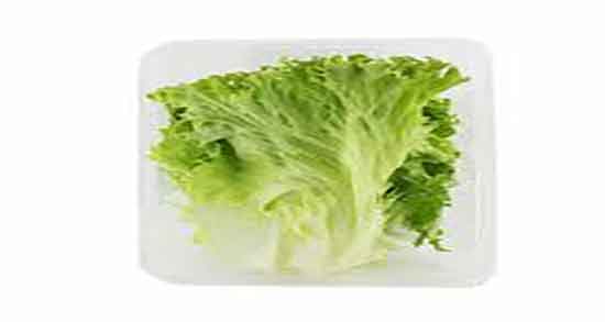 نگهداری کاهو فرانسوی ؛ روش نگهداری کاهو فرانسوی در یخچال نگهداری کاهو فرانسوی ؛ روش نگهداری کاهو فرانسوی در یخچال