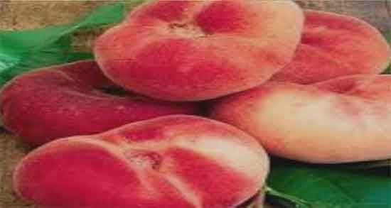 هلو انجیری برای معده ؛ درمان زخم معده با خوردن هلو انجیری هلو انجیری برای معده ؛ درمان زخم معده با خوردن هلو انجیری