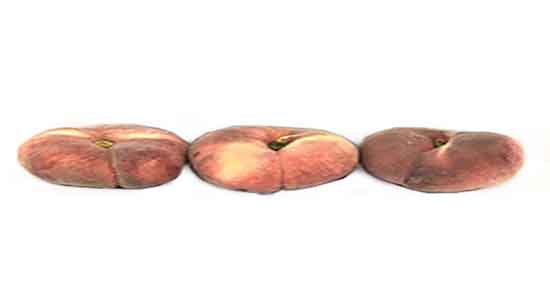 هلو انجیری و دیابت ؛ خاصیت مصرف هلو انجیری برای کنترل قند خون هلو انجیری و دیابت ؛ خاصیت مصرف هلو انجیری برای کنترل قند خون