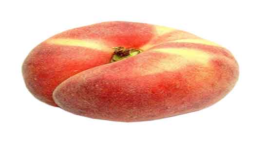 هلو انجیری پیوند چیست ؛ ایا هلو انجیری پیوندی برای بدن خواص دارد هلو انجیری پیوند چیست ؛ ایا هلو انجیری پیوندی برای بدن خواص دارد