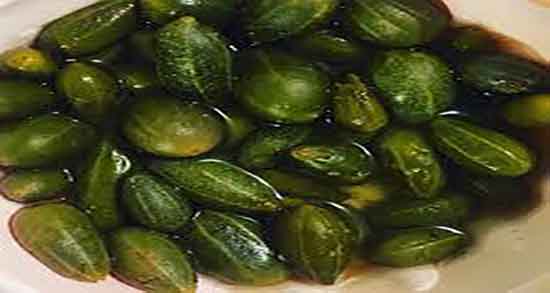 هندوانه ابوجهل برای سنگ کلیه ؛ هندوانه ابوجهل برای درمان سنگ کلیه هندوانه ابوجهل برای سنگ کلیه ؛ هندوانه ابوجهل برای درمان سنگ کلیه