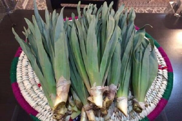 والک یا سیر کوهی؛ ارزش غذایی، طبع و خواص شگفت انگیز آن والک یا سیر کوهی؛ ارزش غذایی، طبع و خواص شگفت انگیز آن