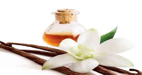 وانیل و قهوه ؛ دستور وانیل و قهوه برای دمنوش های صبحانه چگونه است