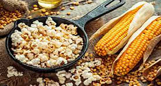 پاپ کورن برای سگ ؛ ایا پاپ کورن برای توله سگ خوب است یا نه پاپ کورن برای سگ ؛ ایا پاپ کورن برای توله سگ خوب است یا نه