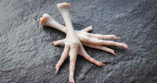 پای مرغ برای زخم معده و خواص مصرف پای مرغ برای درمان زخم معده پای مرغ برای زخم معده ؛ خواص مصرف پای مرغ برای درمان زخم معده