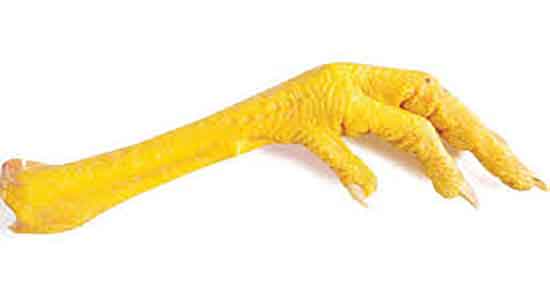 پای مرغ برای نوزاد پای مرغ برای نوزاد ؛ خاصیت مصرف پای مرغ برای نوزاد از چند ماهگی؛ خاصیت مصرف پای مرغ برای نوزاد از چند ماهگی