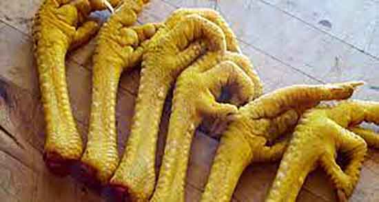 پای مرغ برای چی خوبه و ایا مصرف پای مرغ برای سرماخوردگی مفیده پای مرغ برای چی خوبه ؛ ایا مصرف پای مرغ برای سرماخوردگی مفیده