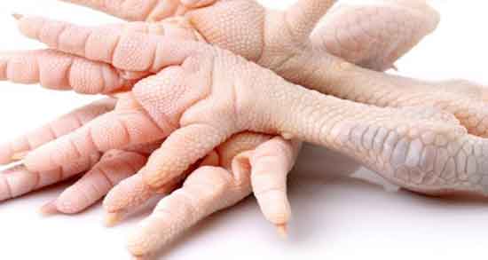 پای مرغ و لاغری ؛ کالری پای مرغ برای چربی سوزی از نظر دکتر کرمانی پای مرغ و لاغری ؛ کالری پای مرغ برای چربی سوزی از نظر دکتر کرمانی