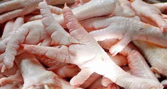 پای مرغ و کلسترول و ایا پای مرغ برای کبد چرب ضرر دارد یا نه پای مرغ و کلسترول ؛ ایا پای مرغ برای کبد چرب ضرر دارد یا نه