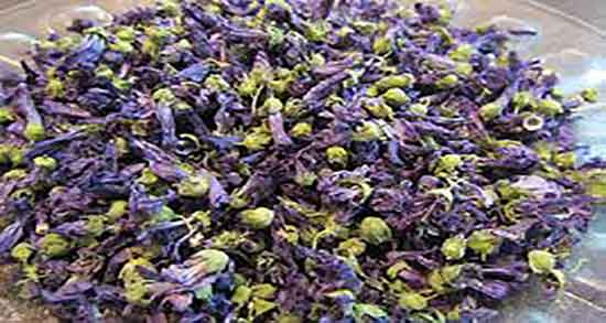 پنیرک و عفونت ؛ ایا مصرف پنیرک از عفونت واژن زنان جلوگیری میکند