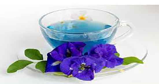 پنیرک و فشار خون ؛ کنترل فشار خون بالا با مصرف دمنوش پنیرک