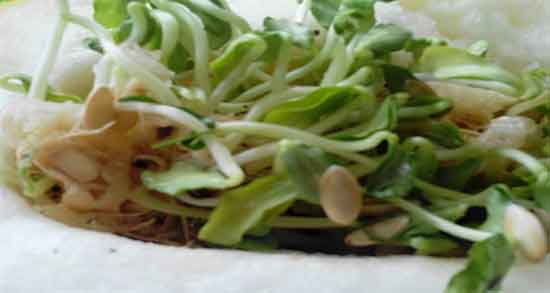 پودر تخمه خربزه ؛ ماسک پودر تخمه خربزه برای روشنایی پوست صورت پودر تخمه خربزه ؛ ماسک پودر تخمه خربزه برای روشنایی پوست صورت