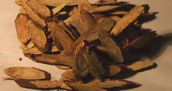 چگونه از ریشه زرشک استفاده کنیم ؛ نحوه صحیح استفاده از ریشه زرشک