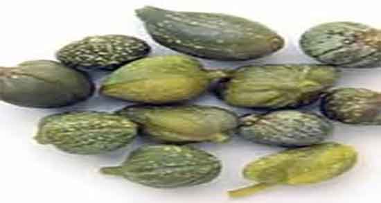 چگونه هندوانه ابوجهل را خشک کنیم ؛ دستور خشک کردن هندوانه ابوجهل چگونه هندوانه ابوجهل را خشک کنیم ؛ دستور خشک کردن هندوانه ابوجهل