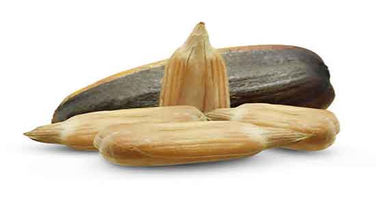 کالری تخمه آفتابگردان دکتر کرمانی ؛ میزان کالری یک مشت تخمه آفتابگردان کالری تخمه آفتابگردان دکتر کرمانی ؛ میزان کالری یک مشت تخمه آفتابگردان