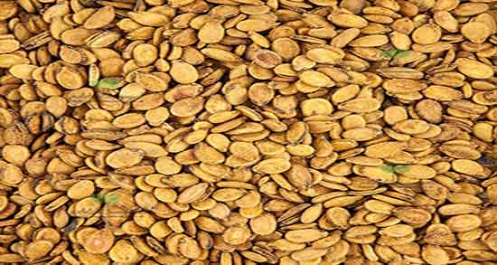 کالری تخمه هندوانه ؛ میزان کالری تخمه آفتابگردان از نظر دکتر کرمانی کالری تخمه هندوانه ؛ میزان کالری تخمه آفتابگردان از نظر دکتر کرمانی