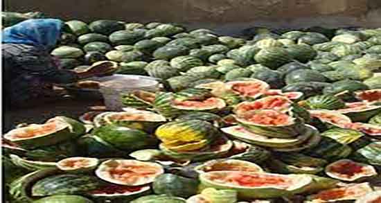 کالری تخمه ژاپنی ؛ میزان کالری یک قاشق تخمه ژاپنی برای بدن چقدره کالری تخمه ژاپنی ؛ میزان کالری یک قاشق تخمه ژاپنی برای بدن چقدره