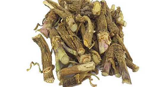 کالری ریشه کاسنی ؛ مقدار کالری یک عدد ریشه کاسنی چقدر است کالری ریشه کاسنی ؛ مقدار کالری یک عدد ریشه کاسنی چقدر است