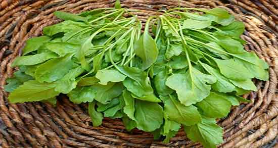 کالری شاهی ؛ میزان کالری شاهی تره تیزک برای بدن چقدر است کالری شاهی ؛ میزان کالری شاهی تره تیزک برای بدن چقدر است