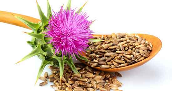 کالری عرق خار مریم ؛ میزان کالری یک لیوان عرق خار مریم چقدره