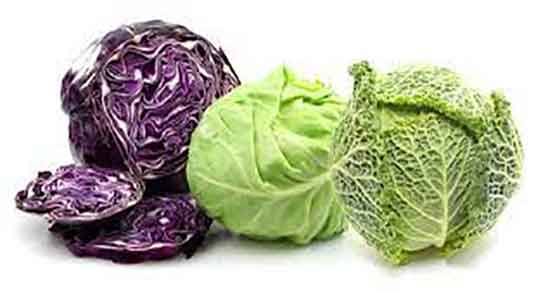 کالری کلم برگ ؛ میزان کالری برگ کلم پخته شده چقدر است کالری کلم برگ ؛ میزان کالری برگ کلم پخته شده چقدر است