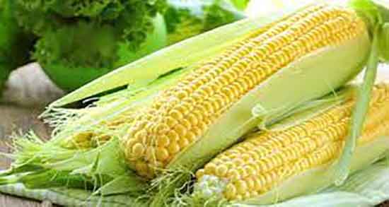 کاکل ذرت برای دفع سنگ کلیه ؛ رفع سنگ کلیه با مصرف کاکل ذرت کاکل ذرت برای دفع سنگ کلیه ؛ رفع سنگ کلیه با مصرف کاکل ذرت