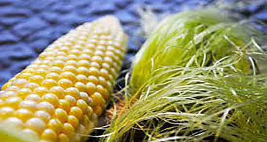 کاکل ذرت برای عفونت واژن ؛ درمان عفونت واژن زنان با مصرف کاکل ذرت